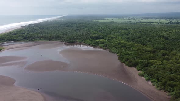 Revealing Lush Delta Low Tide Wetlands
