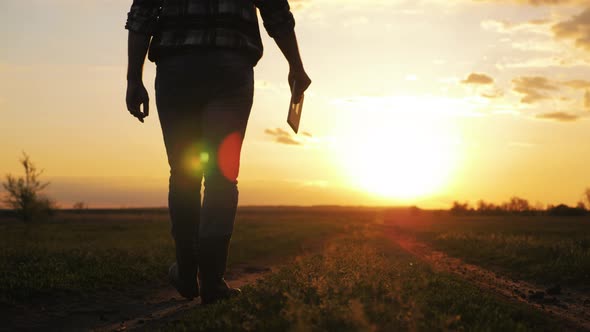 Agricultural Business alt