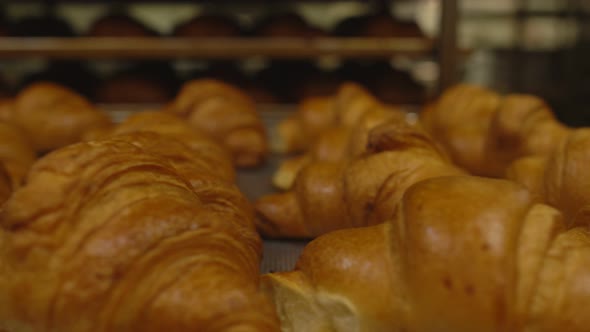 Many Delicious and Fresh Croissants Are on the Tray. Production for the Production of Pastries alt