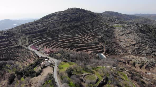 Empty car highway leading to the mountains through uncultivated plantations alt