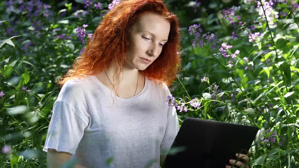 Young Red-Haired  Woman Work on Laptop Computer Among Flowers in a City Park