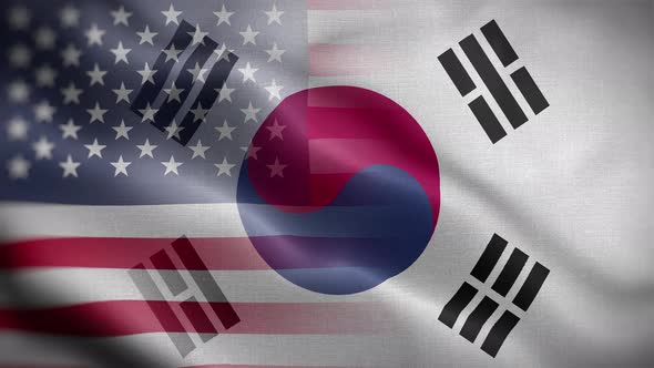 USA South Korea Flag Loop Background 4K