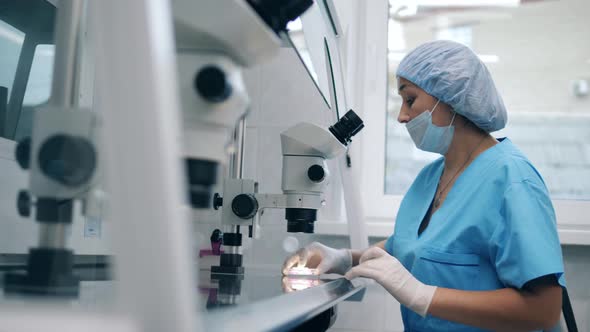 Artificial Insemination in a Modern Medical Laboratory. A Person Works in Laboratory, Performing alt