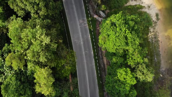 Road on the jungle alt