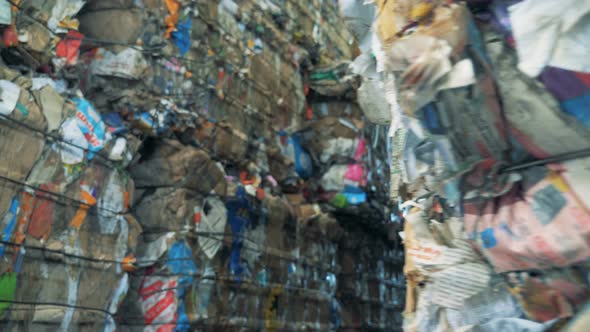 Pressed Rubbish at a Dump, Close Up. Cardboard Is Pressed for Recycling. alt