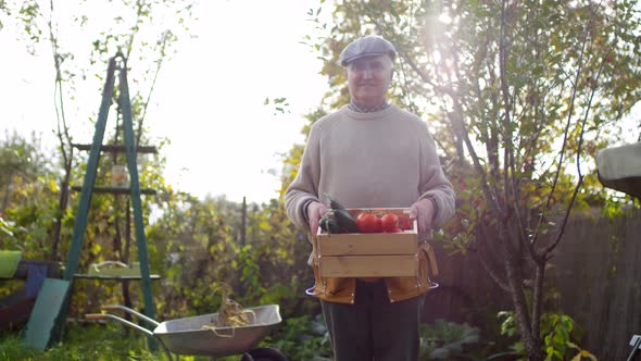 Proud Male Gardener Posing with Crate of Fresh Vegetables alt