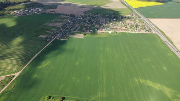 Top View of the Yellow Rapeseed Field and the Village