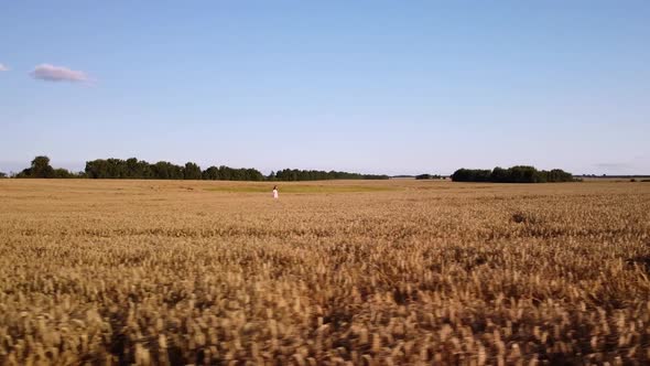 Lonely girl walking in the field of rye at sunset