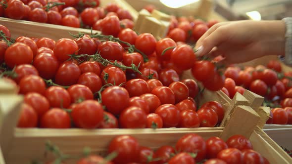 Woman Choosing Cherry Tomatoes in Supermarket Shelves with Vegetables Close Up