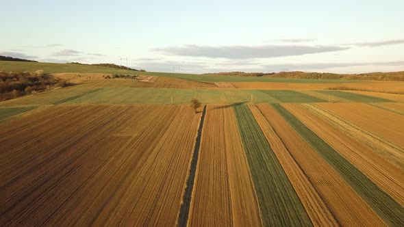 Aerial view of green agricultural fields in spring with fresh vegetation alt