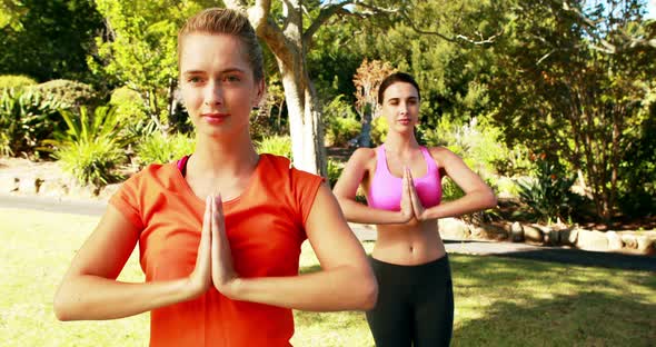 Women performing yoga in park alt