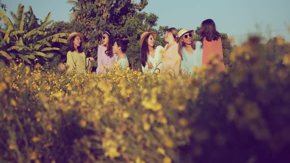 group of asian female friend woman walking in yellow blossom flower sunset moment,