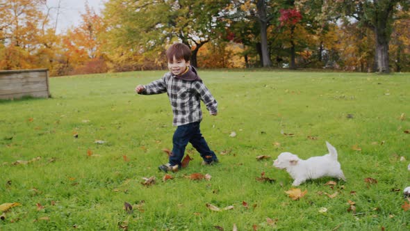 Carefree Baby Runs with His Puppies on the Green Lawn alt