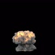 Vfx Explosion Bomb