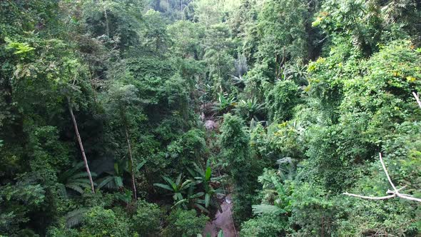 Jungle Zipline alt