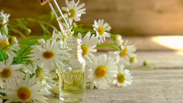 Extract and Tincture of Chamomile in a Small Bottle alt