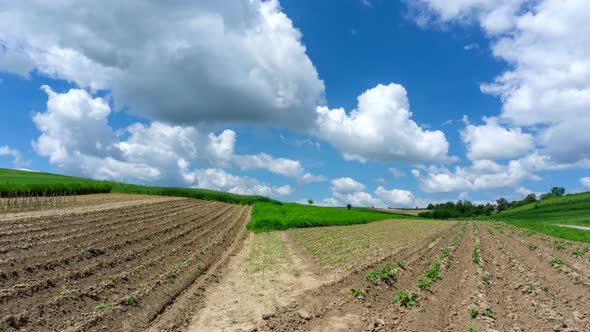 4k timelapse of plowed field. alt