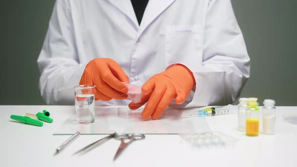 Medical Scientist Specialist in Gloves Dripping From Pipette with Solution on Meat Food Research in alt