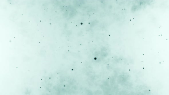 Abstract white background with dark blue flying particles