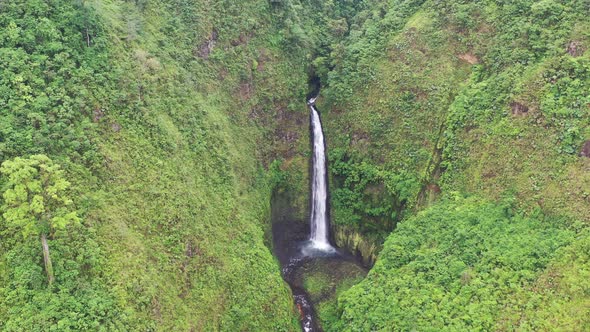 Aerial view of waterfall in lush rainforest alt