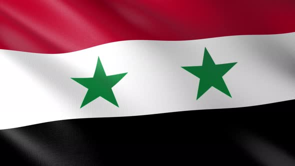 Flag of The Syria alt
