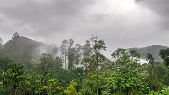 Fog Disperses Over The Rainforest