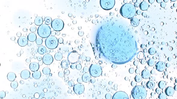 Super Slow Motion Shot of Moving Blue Bubbles Isolated on White Background at 1000Fps alt