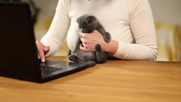 Woman Wear Comfy Style is Working on a Black Notebook Laptop and Kitten is Laying on the Table