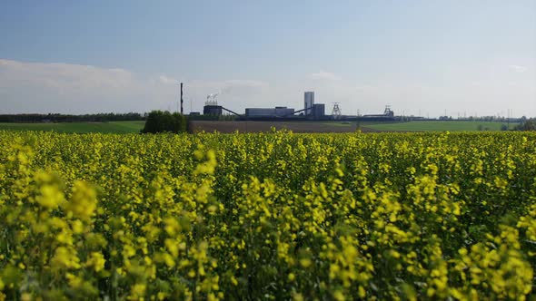 Industry Plant 2 alt