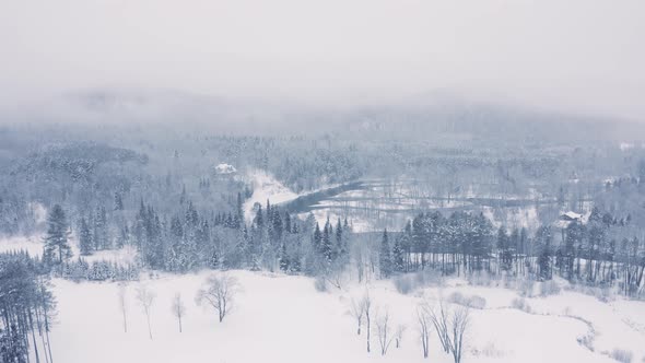 Foggy Winter Landscape - Drone Flying  4K - Mountains - Trees, rivers, snowy - Cinematic river alt