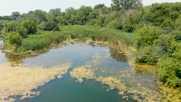low flying drone over a lake with algae backward flight bird's eye view 4k alt