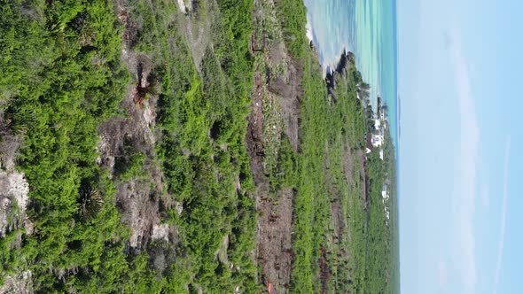 Zanzibar Tanzania  Coast of Island Covered with Thickets Slow Motion alt