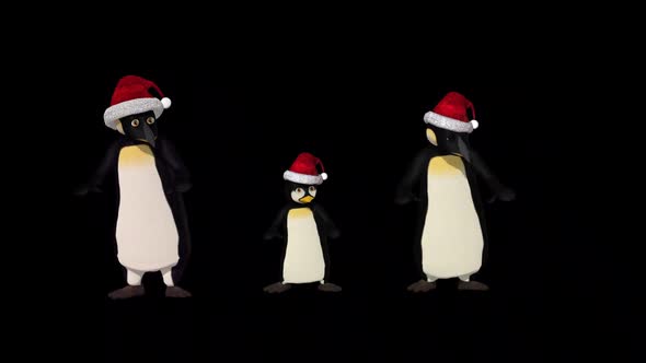 Penguin Family Dance alt