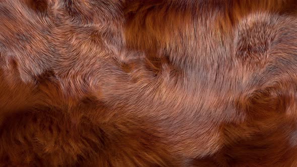 Brown Fur Animated Background