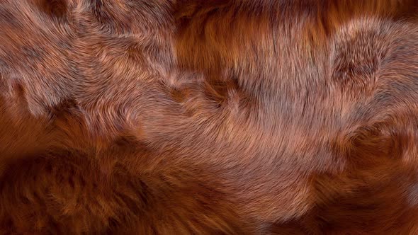 Brown Fur Animated Background alt