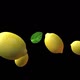 Lemon Fruit - VideoHive Item for Sale