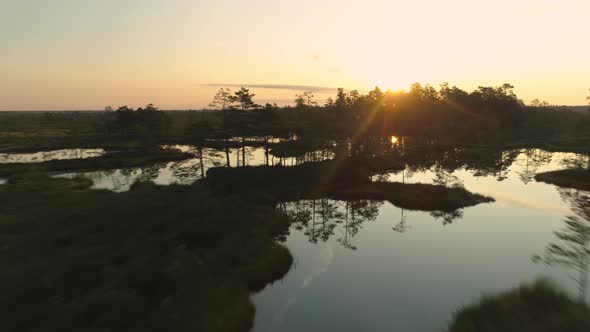 Flying Fast Over Trees and Lakes at Sunrise Aerial View alt