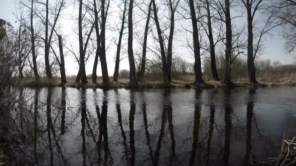 River In The Forest 2 alt