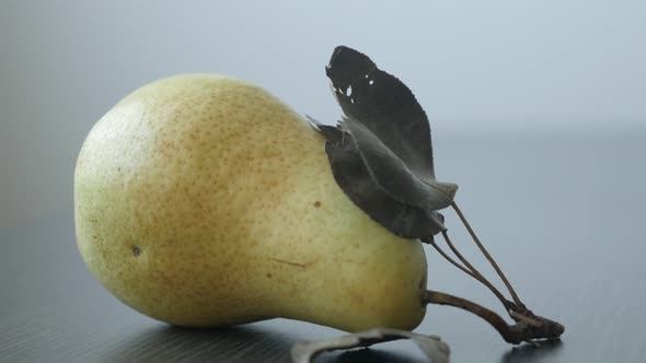 Yellow organic pear on the table close-up 4K 2160p UltraHD tilting footage - Tasty fruit from genus 