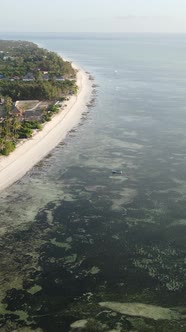 Tanzania  Vertical Video of Low Tide in the Ocean Near the Coast of Zanzibar Slow Motion alt