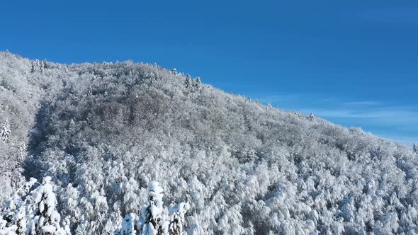Aerial View of a Fabulous Snowcovered Forest on the Slopes of the Mountains alt