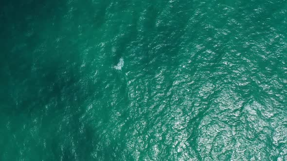 Aerial above texture of tropical coastline beach break by aqua blue ocean and white sandy background alt