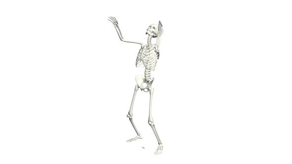 Phone Talking Skeleton