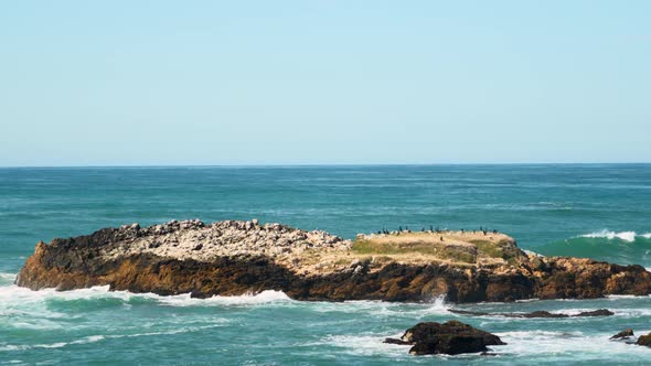 Pescadero state beach and cliffs number three alt