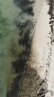 Tanzania  Vertical Video of the Ocean Near the Coast of Zanzibar Slow Motion alt