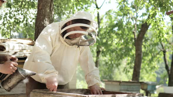 A careful beekeeper removes honeycombs with bees for inspection. Experienced beekeeper. alt