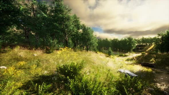 Heavy Rain Clouds Over the Field at the Sunset alt