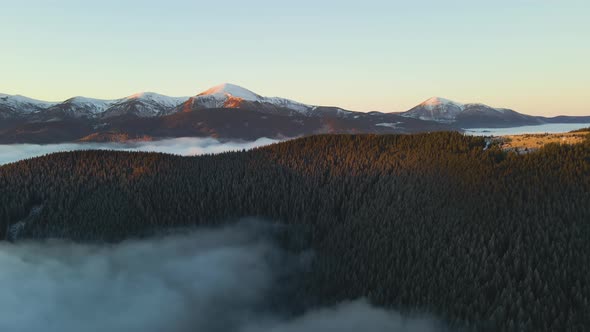 Aerial view of vibrant sunrise over Carpathian mountain hills covered with evergreen spruce alt