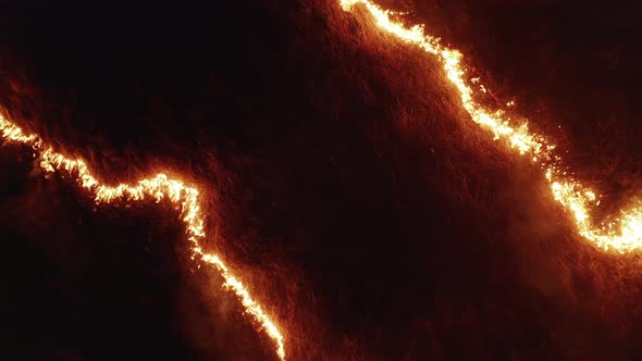 Forest Fire at Night Aerial Drone Shot Burning Field of Dry Grass in Flame