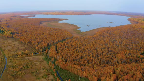 Aerial Top View of Beautiful Lake Surrounded By Colorful Forest in Autumn